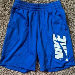 Nike Men's Blue Shorts